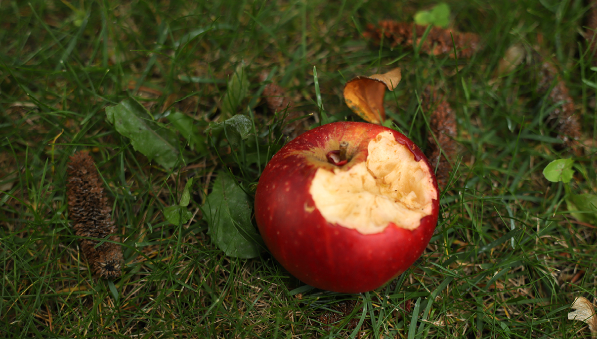 Photo of a rotten red apple on the ground with a bite taken out of it, representing philanthropic harm or harmful intent