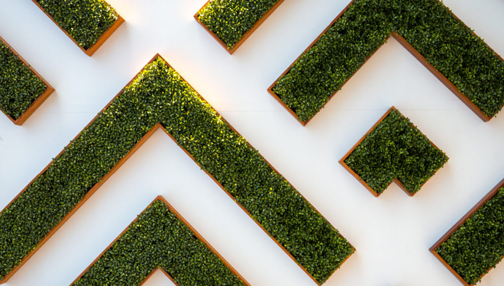 Photo of neatly arranged rasied beds of grass on a white background, abstractly representing the concept of place-based work