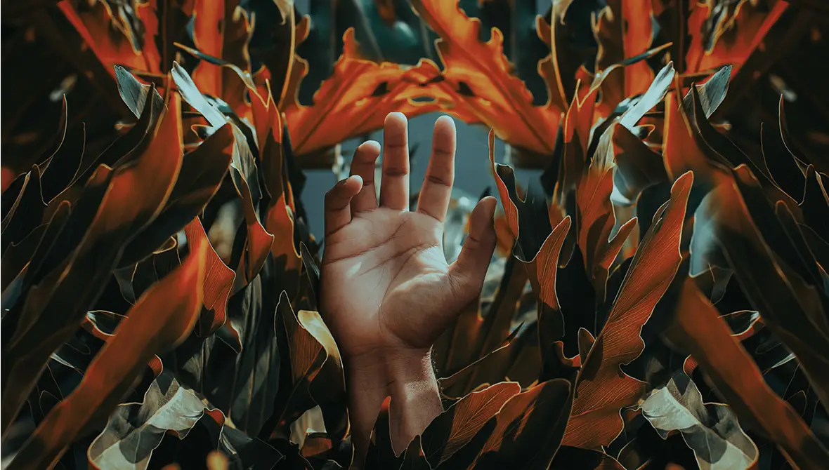 Photo of a human hand reaching up through the leaves of a tree