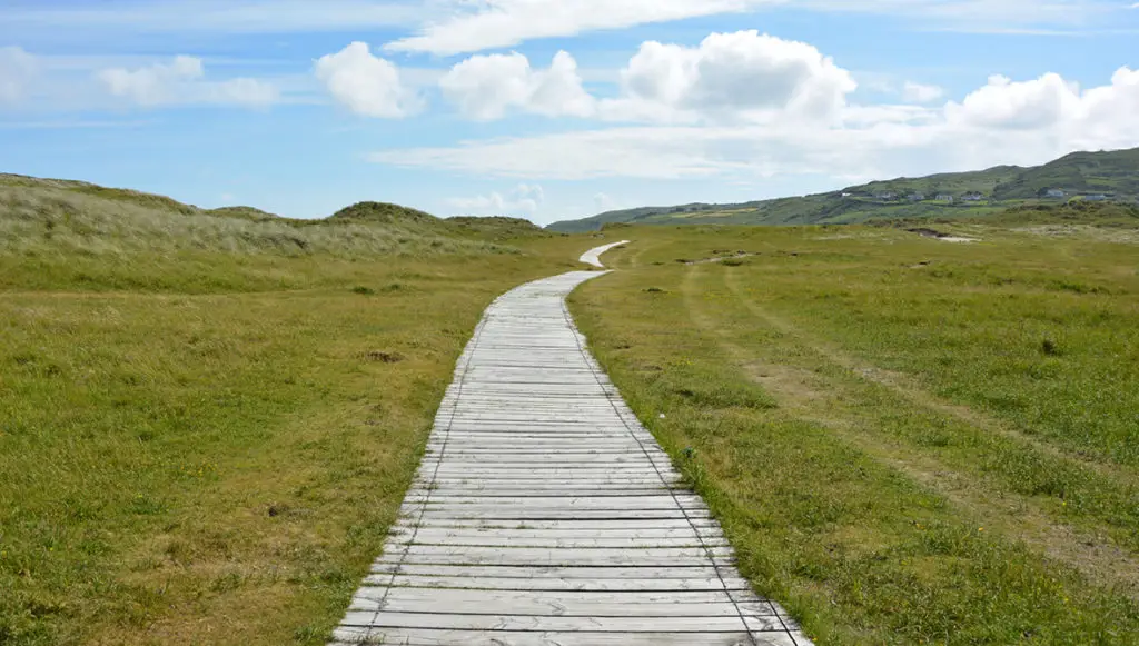 Photo of a long, wooden path through a vast, green field, representing a "quest" for equity