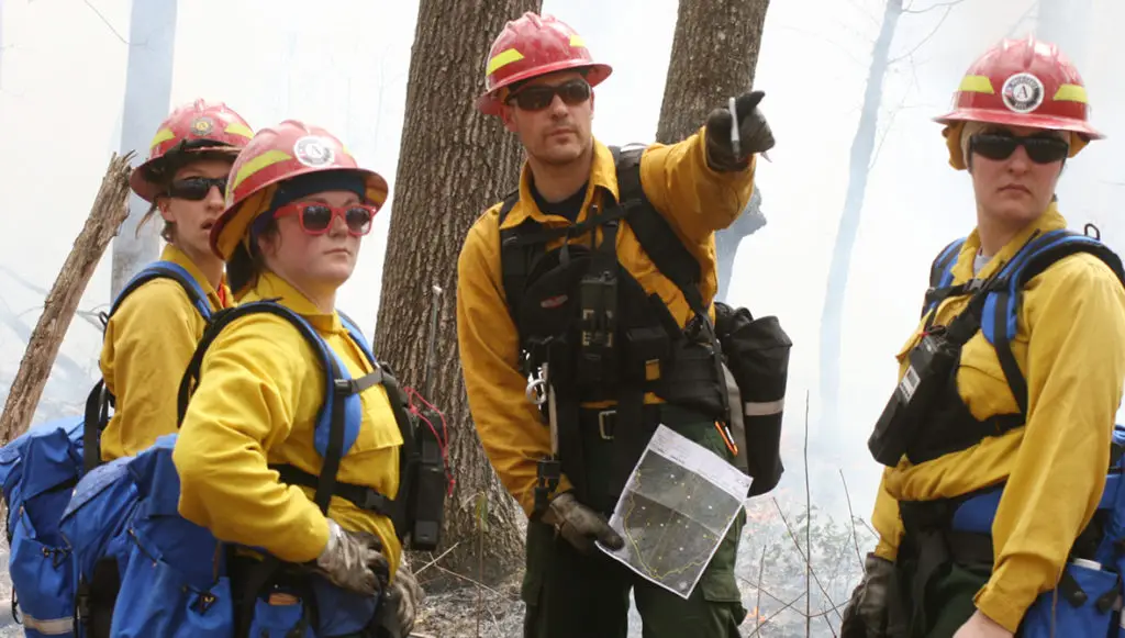 Photo of four Americorps service members standing in a forest