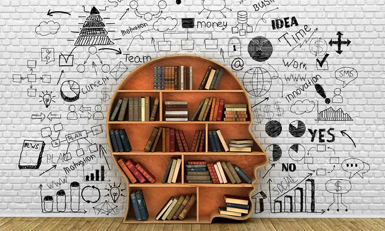 Photo of a bookshelf shaped like a human head and filled with books, representing learning