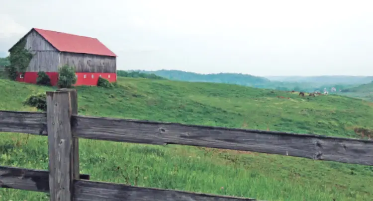 Photo of a barn in the Appalachian mountains of Morgan County, Ohio.