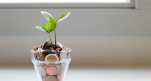 Photo of a plant sprouting out of a glass jar filled with coins