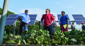 Photo of five business people standing outside under a row of solar panels, with a large vegetable garden in the foreground