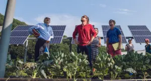 Photo of five business people standing outside under a row of solar panels, with a large vegetable garden in the foreground