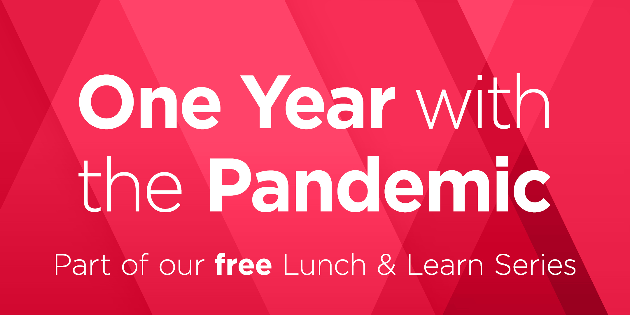 Lunch & Learn - One Year with the Pandemic