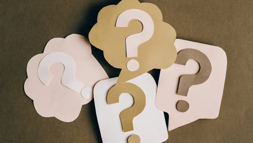 Photo: Paper cut-outs of question marks