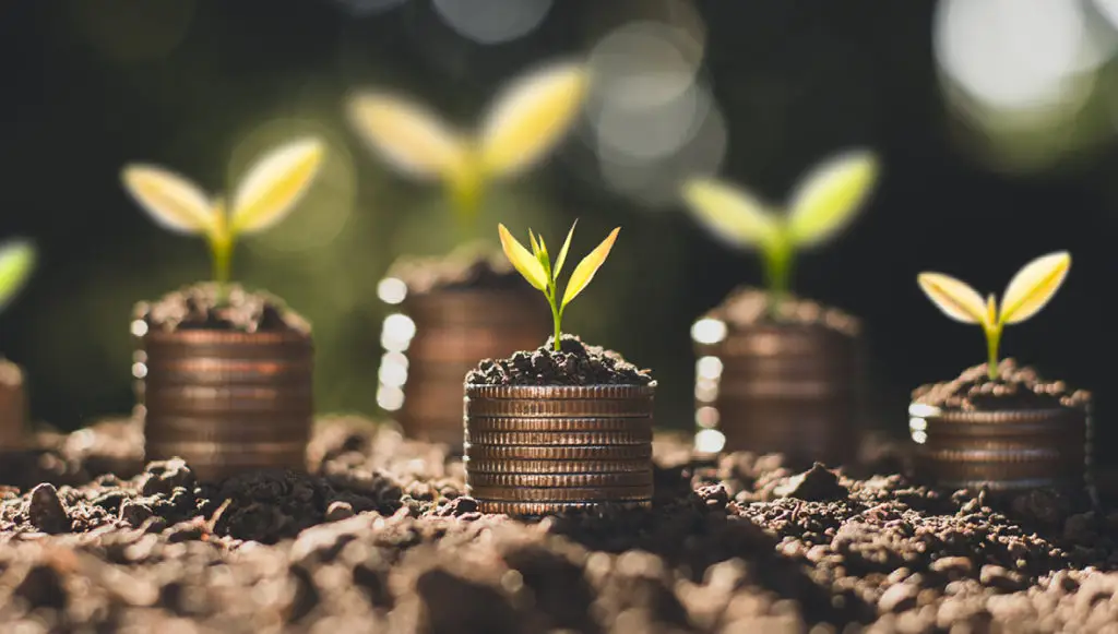 Photo of stacks of coins on top of soil with seedlings growing on top