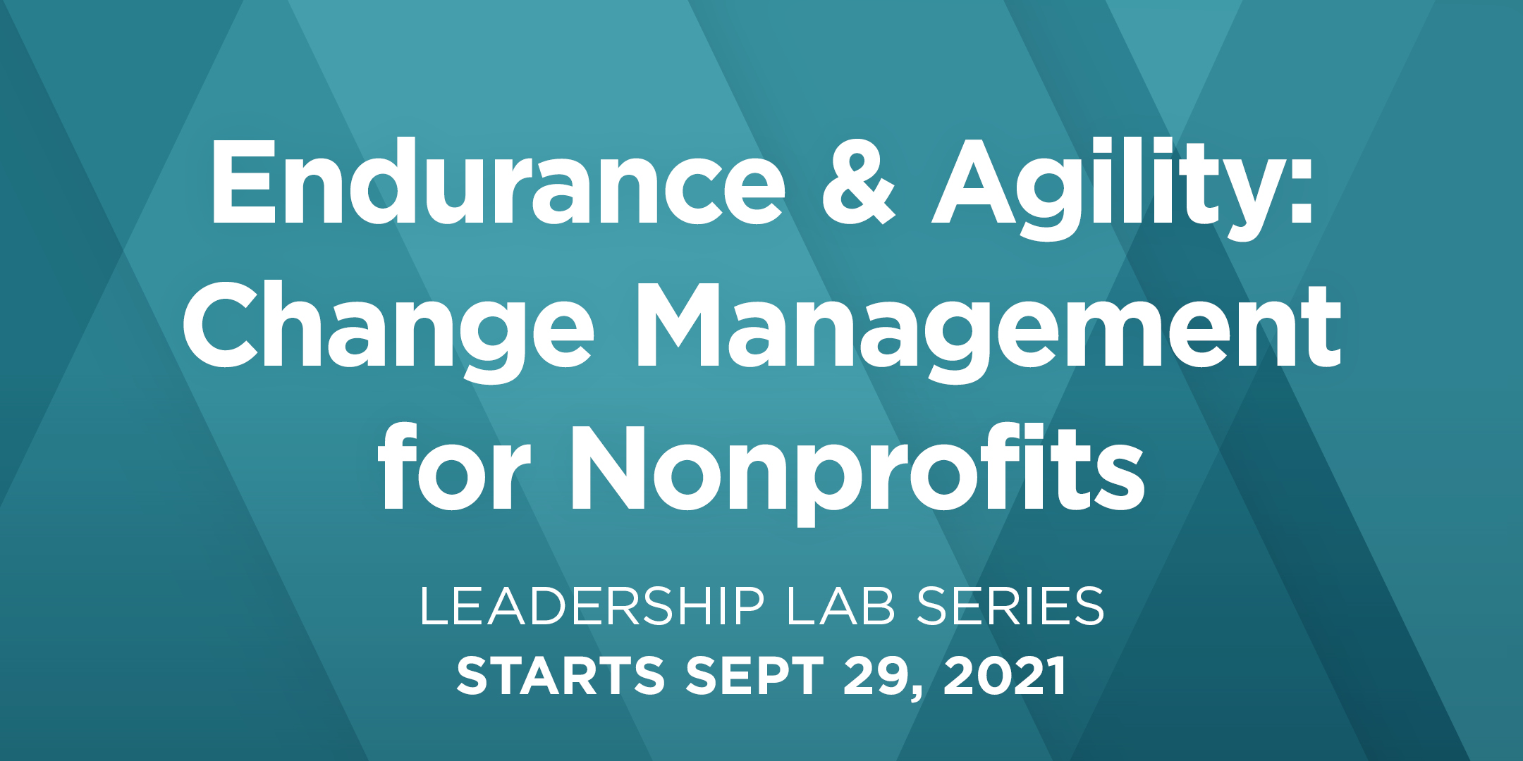 Endurance & Agility: Change Management for Nonprofits (A Leadership Lab Series)