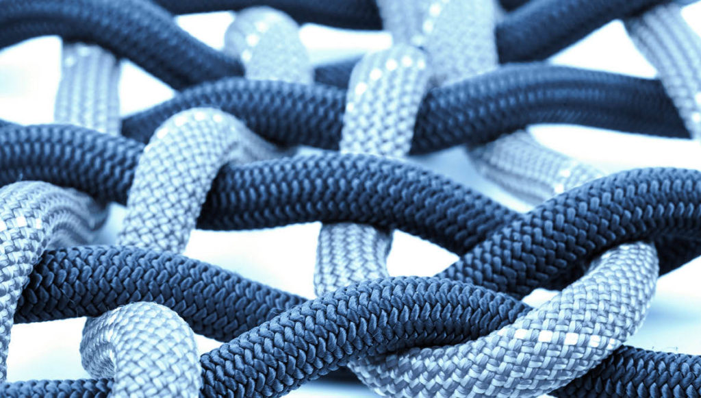 Close-up photo of blue cords woven together, representing the overlapping roles of philanthropy and government