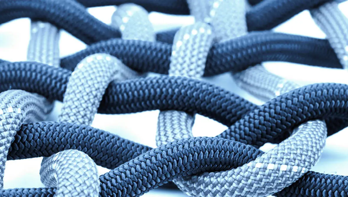 Close-up photo of blue cords woven together, representing the overlapping roles of philanthropy and government