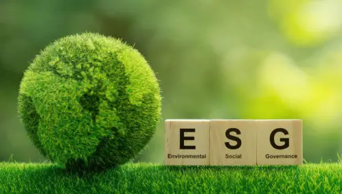 Image of a globe made of grass and greenery sitting on the ground next to three wooden blocks with the letters ESG on them.