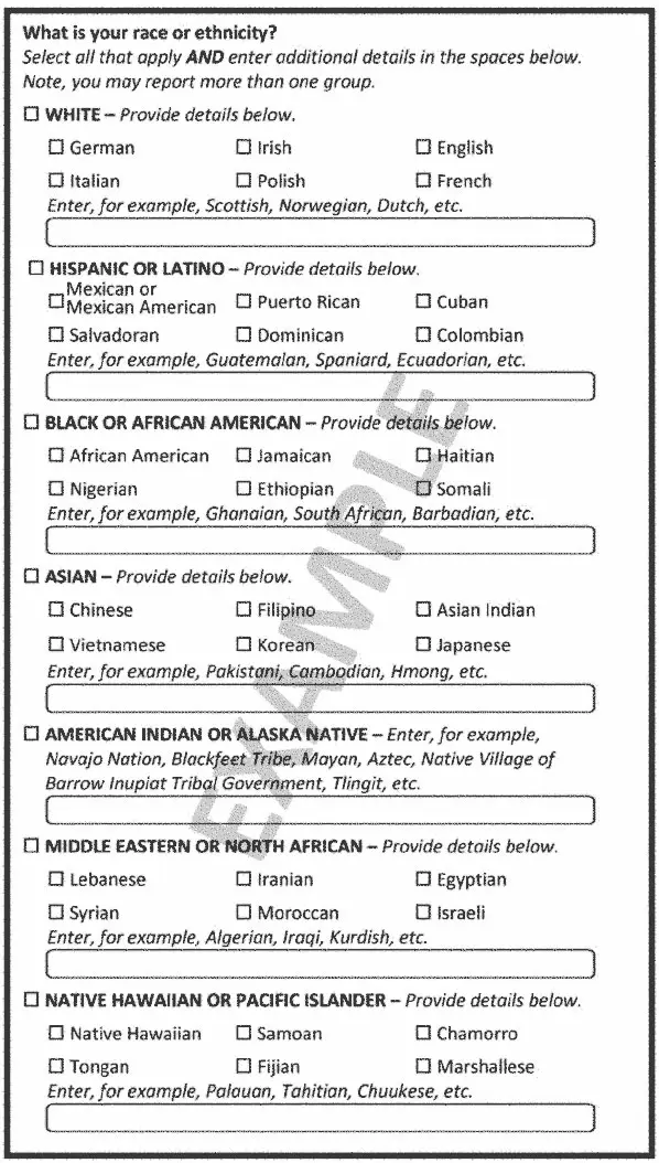Survey questions offering checkboxes with far more racial and ethnic identifier options, as well as empty fields for entering one's own custom response.