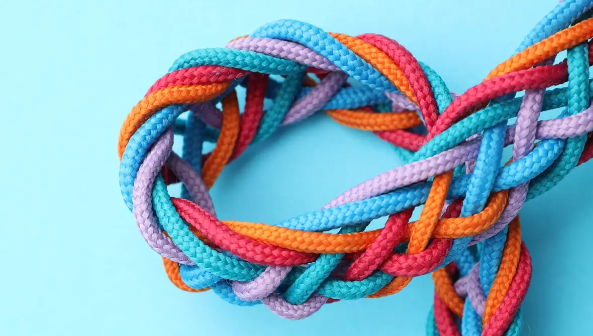 A braid of multi-colored cords on a light blue background (matching the image on the front cover of the annual report)